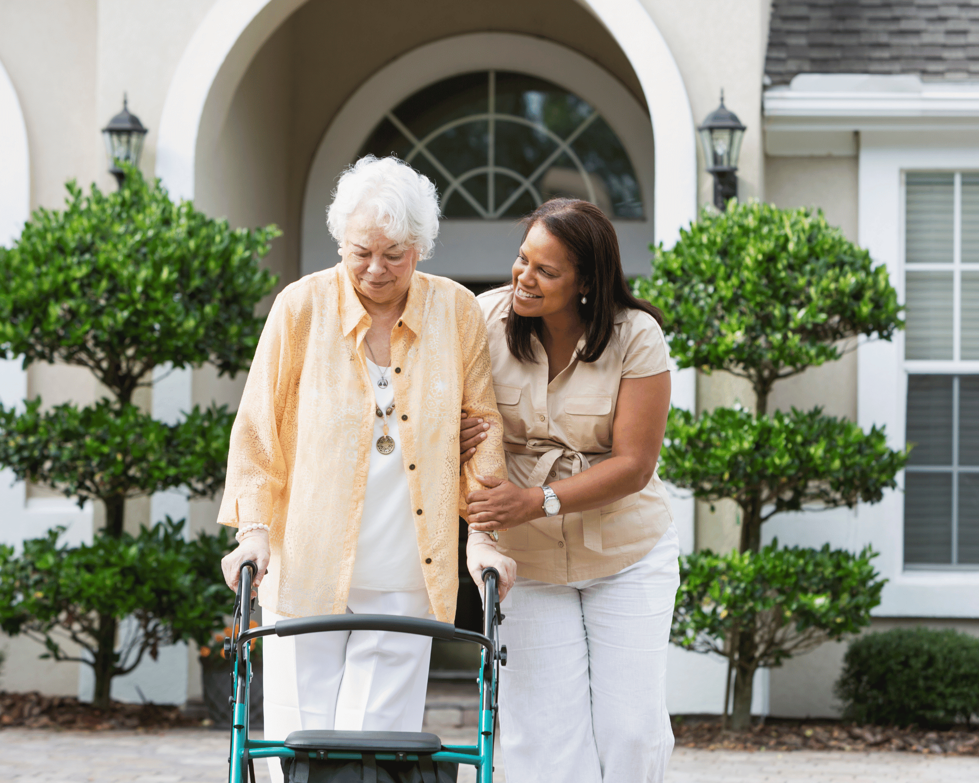 Provider Companionship to the Elderly & Adults with Disabilities